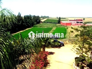 À VENDRE DOMAINE AGRICOLE 14 HECTARES BRACHOUA - Terrain à vendre - Rabat