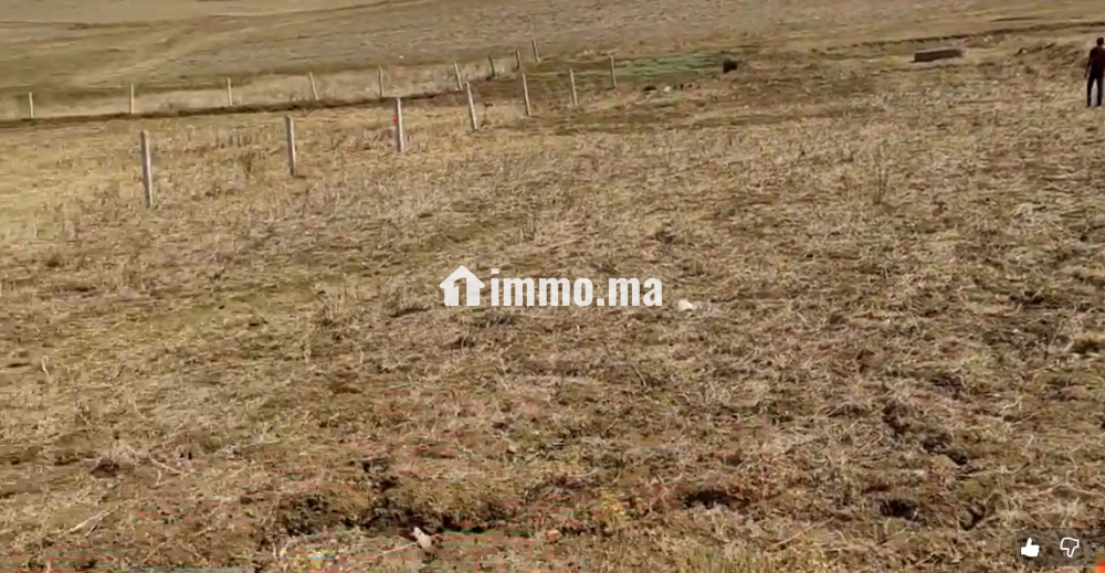 قطعة أرضية بأصيلة هميزة للبيع (a ne pas rater) - Vente Immobilier - Asilah - photo 1