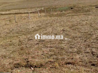 قطعة أرضية بأصيلة هميزة للبيع (a ne pas rater) - Terrain à vendre - Asilah