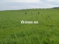 أرض فلاحية جيدة للبيع صالحة للاستثمار - miniature 3
