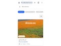 أرض فلاحية جيدة للبيع صالحة للاستثمار - miniature 1