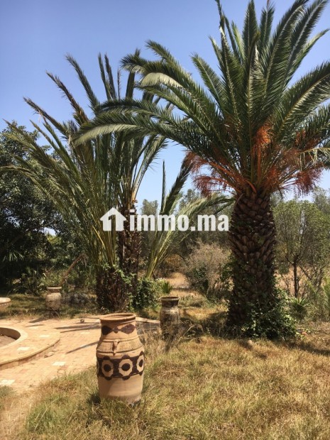 Villa R plus 1 a renover sur 1.5 ha pres de Labissa - Vente Immobilier - Bouskoura - photo 3