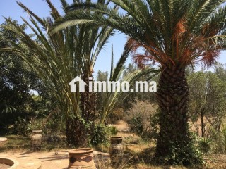Villa R plus 1 a renover sur 1.5 ha pres de Labissa - Villa à vendre - Bouskoura