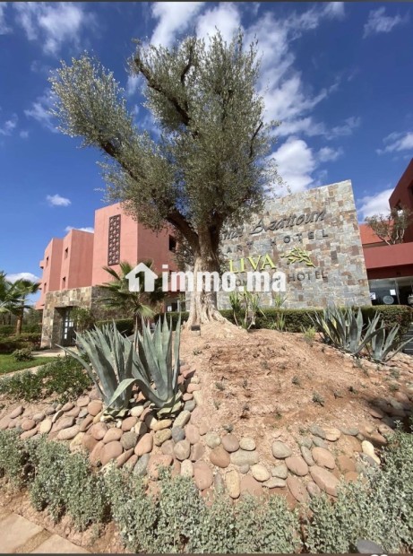 Terrain 460 m² à Marrakech | Janat Azaitoune - Vente Immobilier - Marrakech - photo 4