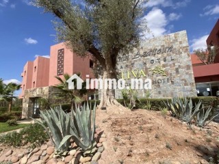 Terrain 460 m² à Marrakech | Janat Azaitoune - Terrain à vendre - Marrakech