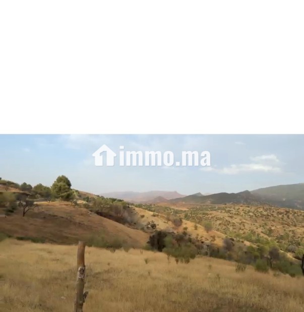 Terrain de 66212 m2 à Ourika - Marrakech - Vente Immobilier - Marrakech - photo 4