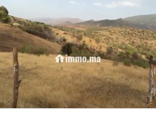 Terrain de 66212 m2 à Ourika - Marrakech - Terrain à vendre - Marrakech