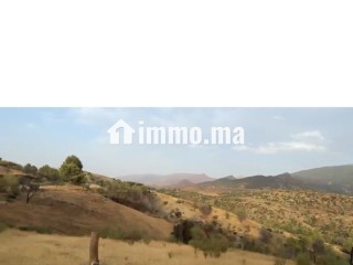 Terrain de 66212 m2 à Ourika - Marrakech - Terrain à vendre - Marrakech