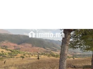 Terrain de 66212 m2 à Ourika - Marrakech - Terrain à vendre - Marrakech