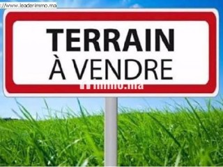 Terrain à vendre Massira 1 Temara - Terrain à vendre - Temara