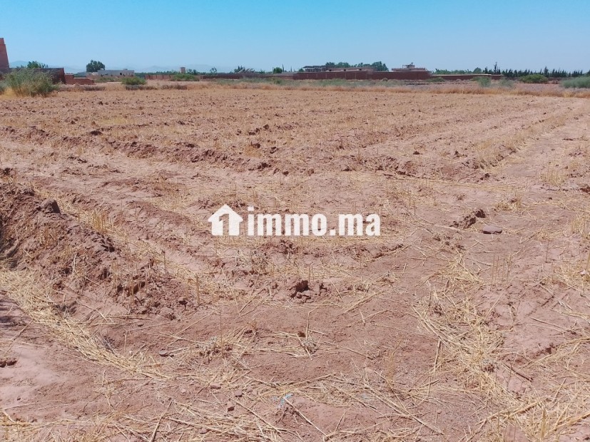 2400 route ourika km24 - Vente Immobilier - Marrakech - photo 4