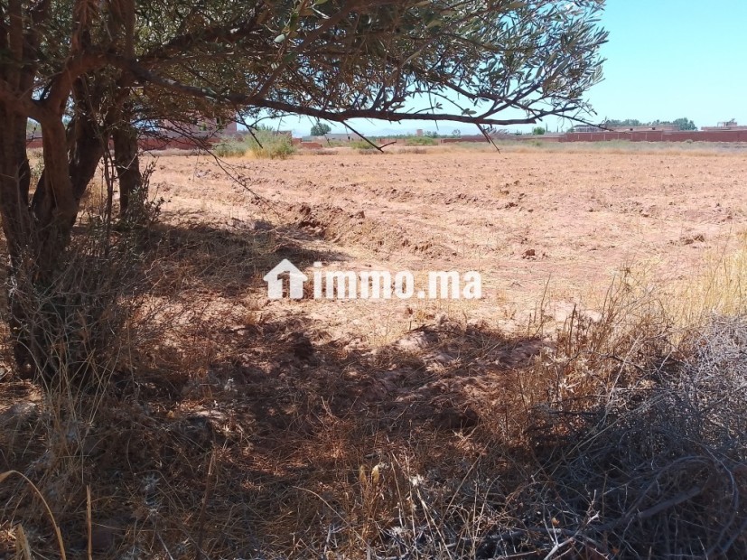 2400 route ourika km24 - Vente Immobilier - Marrakech - photo 2