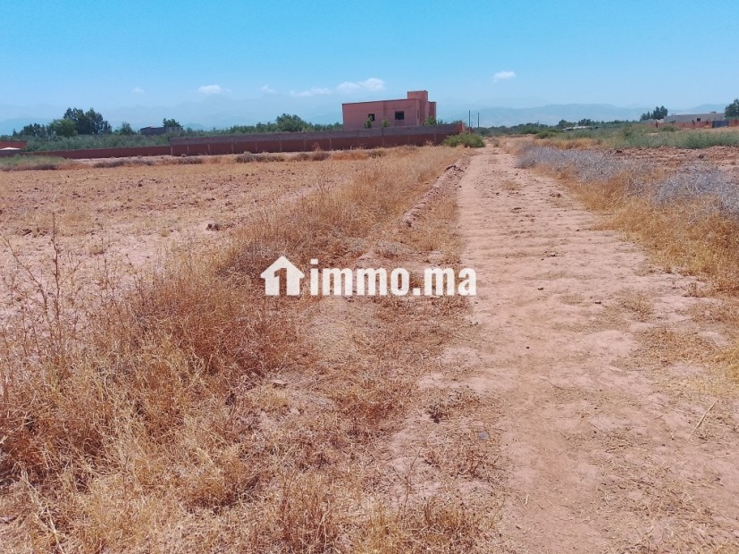 2400 route ourika km24 - Vente Immobilier - Marrakech - photo 5