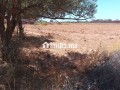 2400 route ourika km24 - miniature 2