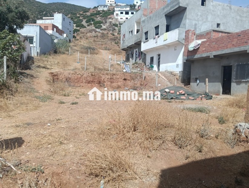أرض مسجلة للبيع بمنطقة قاع اسراس، شفشاون. - Vente Immobilier - Chefchaouen - photo 3