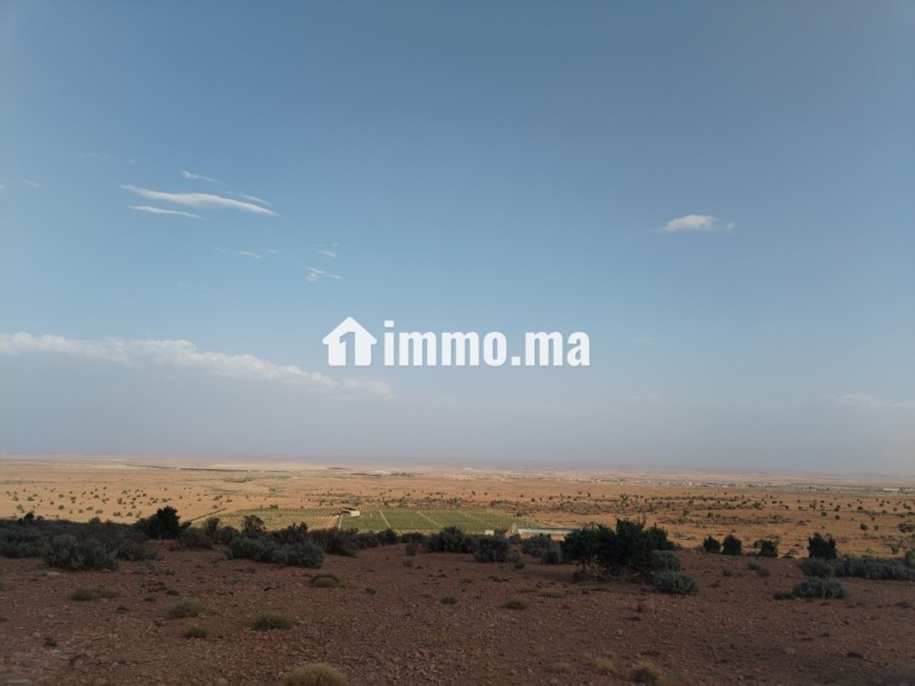 Terrain agricole - Vente Immobilier - Midelt - photo 3