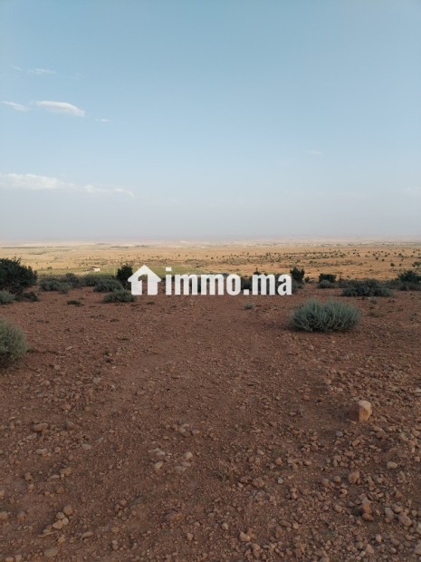 Terrain agricole - Vente Immobilier - Midelt - photo 2