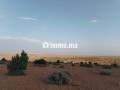 Terrain agricole - miniature 4