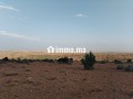 Terrain agricole - miniature 1
