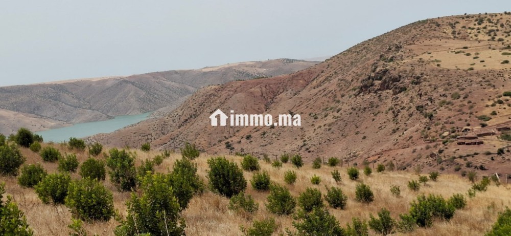 FERME AGRICOLE ضيعة فلاحية - Vente Immobilier - Khemisset - photo 5