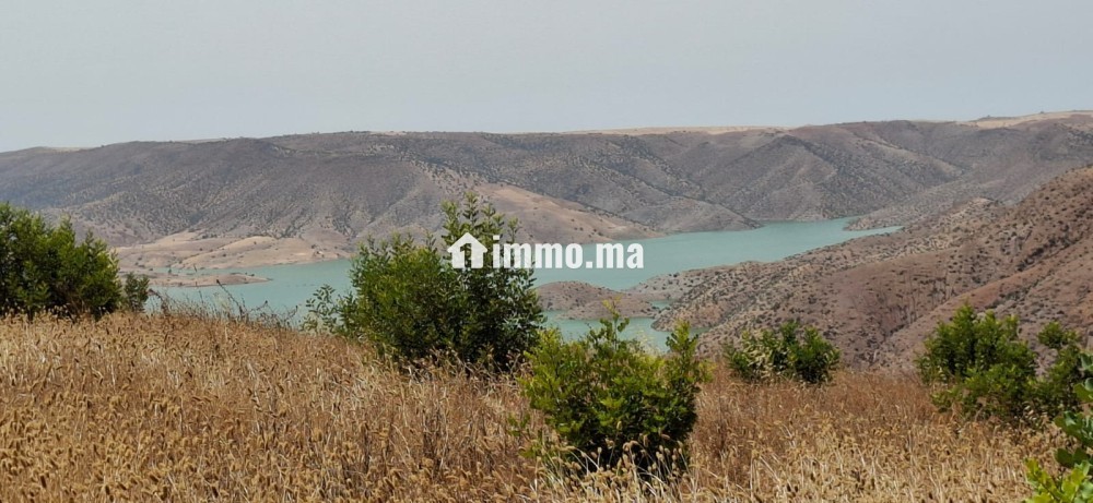 FERME AGRICOLE ضيعة فلاحية - Vente Immobilier - Khemisset - photo 6