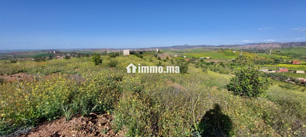 FERME AGRICOLE ضيعة فلاحية - Vente Immobilier - Khemisset - photo 1