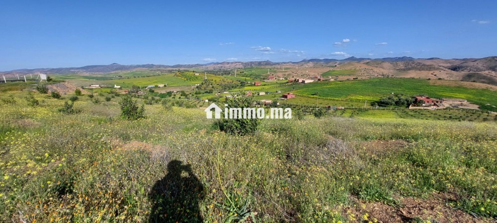 FERME AGRICOLE ضيعة فلاحية - Vente Immobilier - Khemisset - photo 2