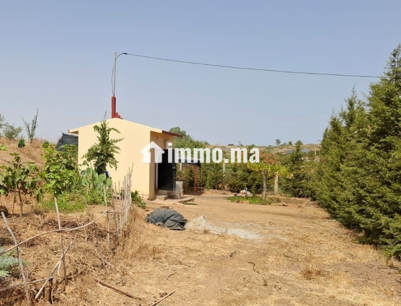 FERME AGRICOLE ضيعة فلاحية - Vente Immobilier - Khemisset - photo 3