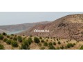 FERME AGRICOLE ضيعة فلاحية - miniature 5