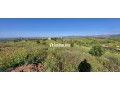 FERME AGRICOLE ضيعة فلاحية - miniature 1