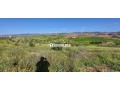 FERME AGRICOLE ضيعة فلاحية - miniature 2