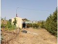 FERME AGRICOLE ضيعة فلاحية - miniature 3