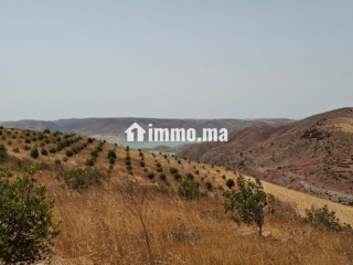 FERME AGRICOLE ضيعة فلاحية - Terrain à vendre - Khemisset