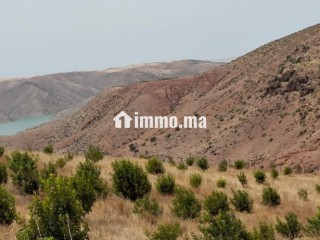 FERME AGRICOLE ضيعة فلاحية - Terrain à vendre - Khemisset