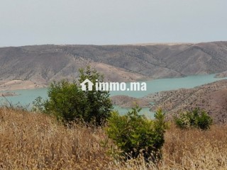 FERME AGRICOLE ضيعة فلاحية - Terrain à vendre - Khemisset