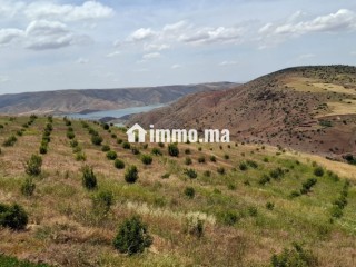 FERME AGRICOLE ضيعة فلاحية - Terrain à vendre - Khemisset