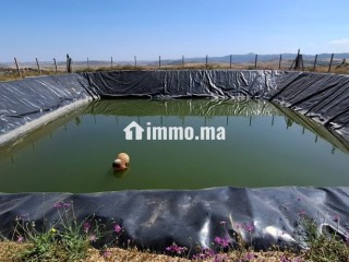 FERME AGRICOLE ضيعة فلاحية - Terrain à vendre - Khemisset