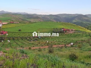 FERME AGRICOLE ضيعة فلاحية - Terrain à vendre - Khemisset