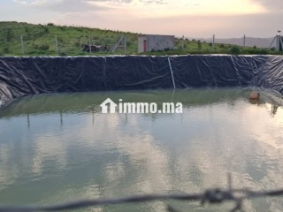 FERME AGRICOLE ضيعة فلاحية - Terrain à vendre - Khemisset