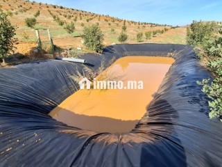 FERME AGRICOLE ضيعة فلاحية - Terrain à vendre - Khemisset