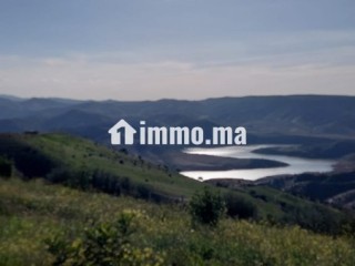 FERME AGRICOLE ضيعة فلاحية - Terrain à vendre - Khemisset