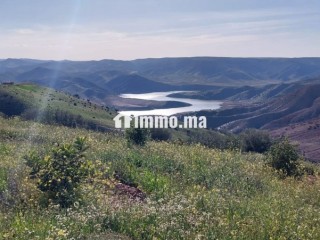 FERME AGRICOLE ضيعة فلاحية - Terrain à vendre - Khemisset