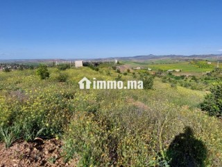FERME AGRICOLE ضيعة فلاحية - Terrain à vendre - Khemisset