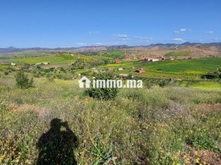 FERME AGRICOLE ضيعة فلاحية - Terrain à vendre - Khemisset