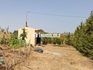 FERME AGRICOLE ضيعة فلاحية - Terrain à vendre - Khemisset