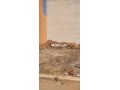 بقعة أرضية مجهزة مساحتها 160 - miniature 2
