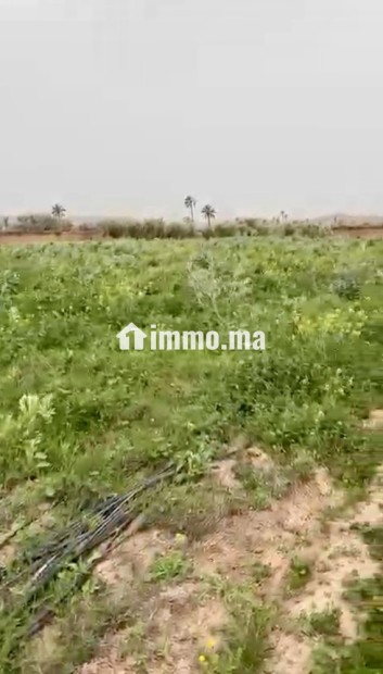 TERRAIN TITRÉ DE PLUS D’UN HECTARE À VENDRE – ROUTE DE FÈS, MARRAKECH - Vente Immobilier - Marrakech - photo 4