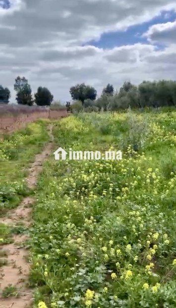 TERRAIN TITRÉ DE PLUS D’UN HECTARE À VENDRE – ROUTE DE FÈS, MARRAKECH - Vente Immobilier - Marrakech - photo 1
