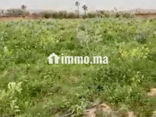 TERRAIN TITRÉ DE PLUS D’UN HECTARE À VENDRE – ROUTE DE FÈS, MARRAKECH - Terrain à vendre - Marrakech