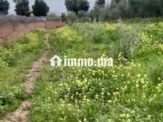 TERRAIN TITRÉ DE PLUS D’UN HECTARE À VENDRE – ROUTE DE FÈS, MARRAKECH - Terrain à vendre - Marrakech